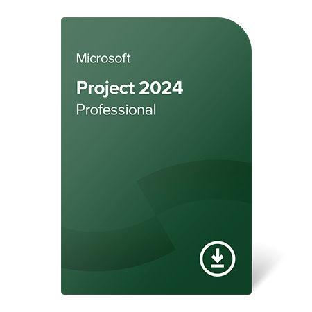 Project Professional 2024