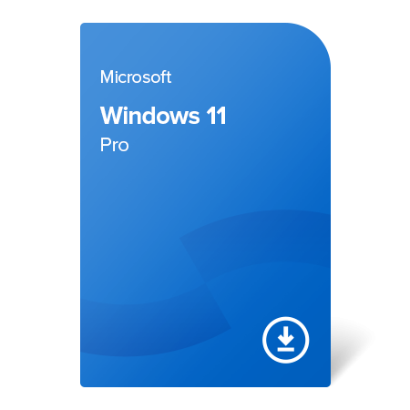 Windows 11 Pro
