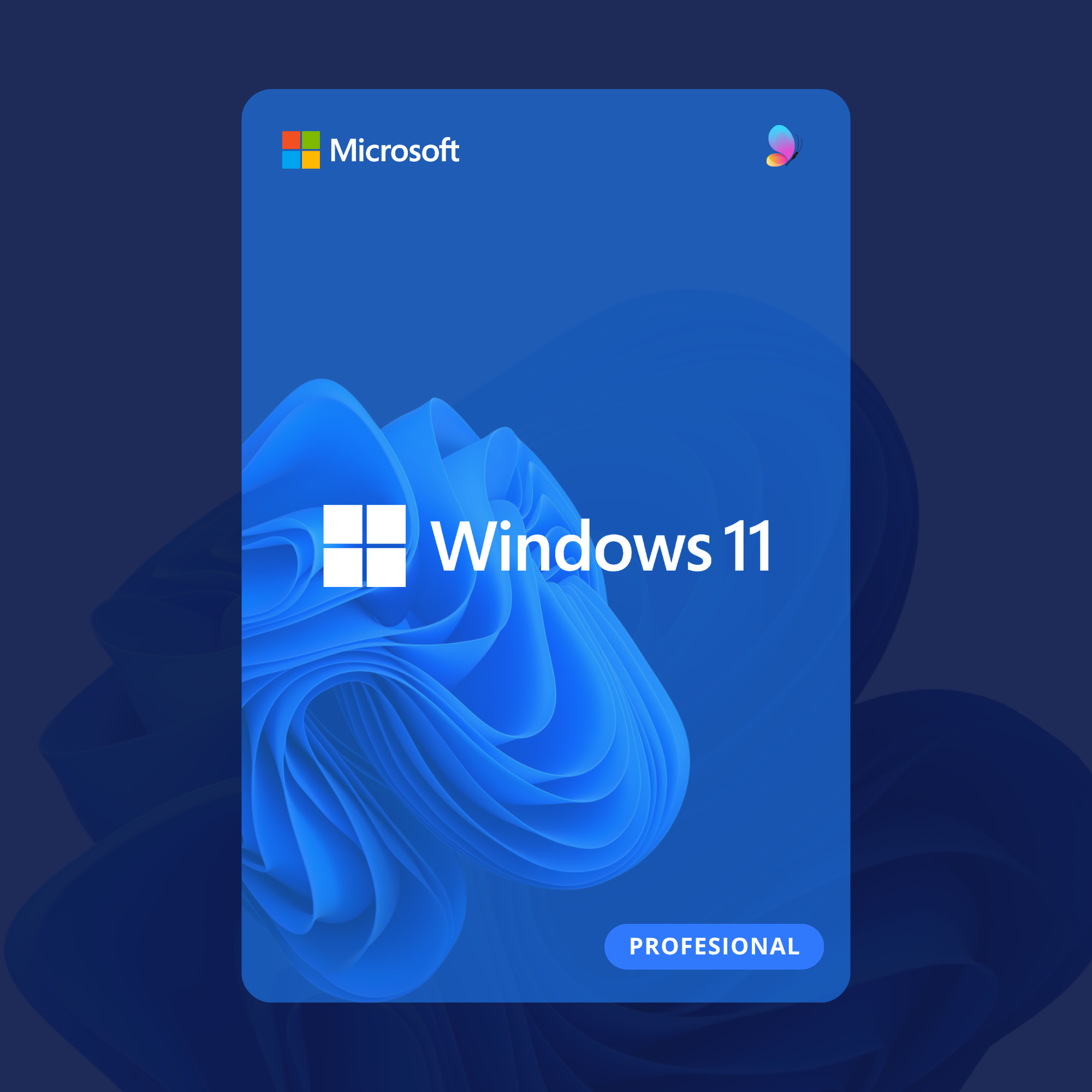 Windows 11 Pro